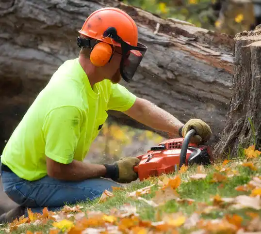 tree services Mantachie